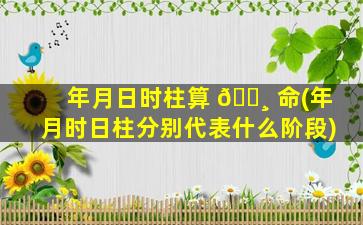 年月日时柱算 🌸 命(年月时日柱分别代表什么阶段)